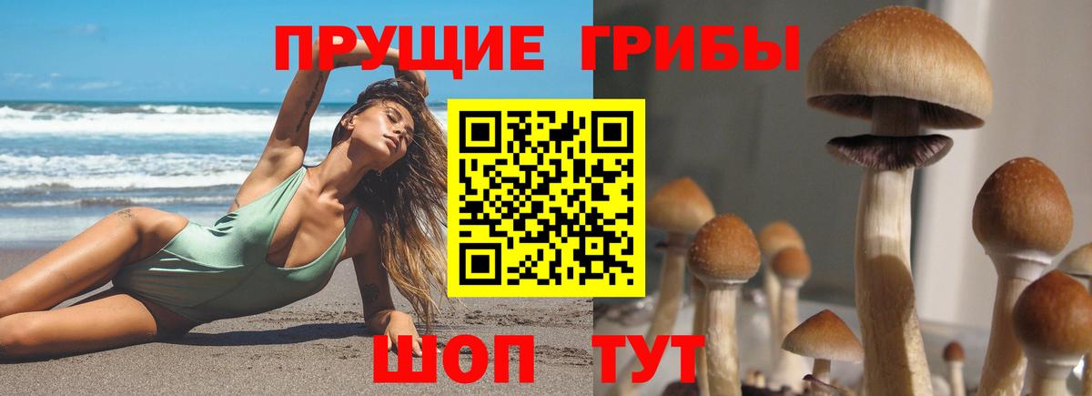 Псилоцибиновые грибы Psilocybe  Псилоцибиновые грибы мухоморы  Вход с VPN  Первоуральск 